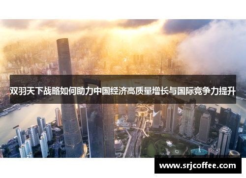 双羽天下战略如何助力中国经济高质量增长与国际竞争力提升