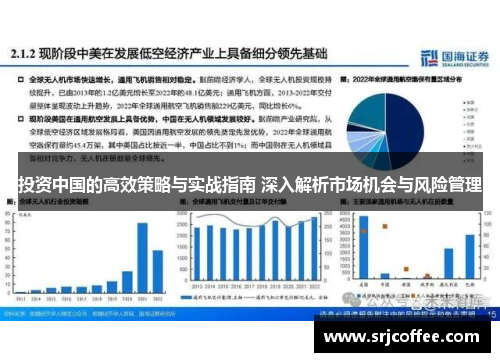 投资中国的高效策略与实战指南 深入解析市场机会与风险管理